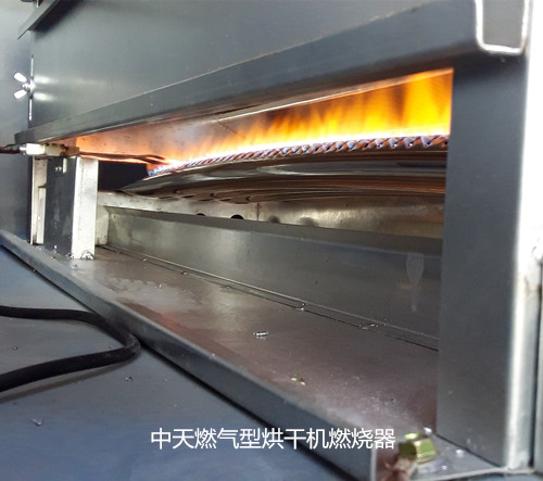 ���Nϴ���O���̎����������